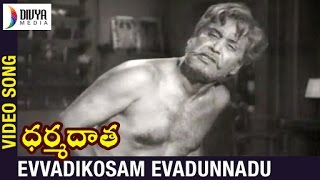 Dharma Daata Telugu Movie  Evvadikosam Evadunnadu Video Song  ANR  Kanchana  Divya Media