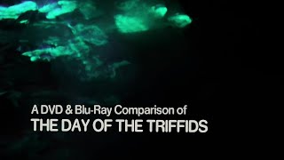 THE DAY OF THE TRIFFIDS 1981  DVD  Bluray Comparison