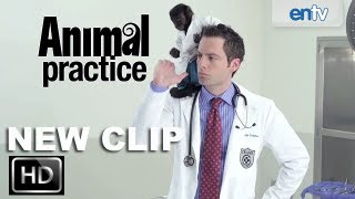 Animal Practice Official Teaser HD This Isnt A Hospital Its A Circus