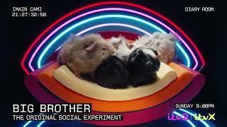 Brand New Big Brother UK returns to ITV2  Sunday 6th October