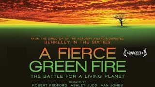 Documentary  A FIERCE GREEN FIRE  INTERVIEW