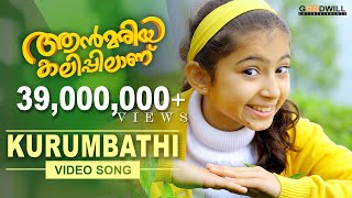 Kurumbathi Chundari Nee   Video Song  Ann Maria Kalippilaanu  Sunny Wayne  Sara Arjun