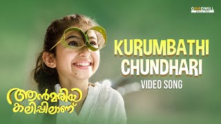 Kurumbathi Chundari Nee Video Song  Ann Maria Kalippilaanu  Vineeth Sreenivasan  Sunny Wayne