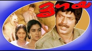 Mrigaya  Superhit Malayalam Full Movie  Mammootty  Sunitha