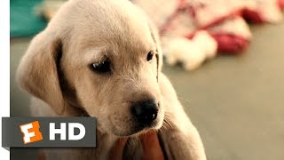Marley  Me 15 Movie CLIP  Clearance Puppy 2008 HD
