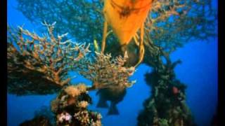 The Cousteau Collection  The Silent World  Trailer