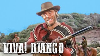 Viva Django  Franais  Anthony Steffen