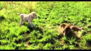 WHITE LION  2010 Full HD Trailer