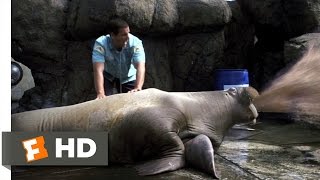 Vomiting Walrus  50 First Dates 38 Movie CLIP 2004 HD
