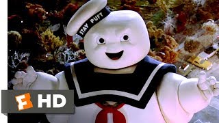 Ghostbusters 88 The Stay Puft Marshmallow Man Movie CLIP   1984 HD