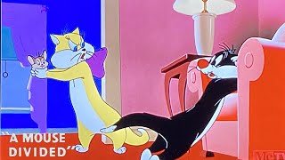 A Mouse Divided 1953 Merrie Melodies Sylvester the Cat Cartoon Short Film  Review