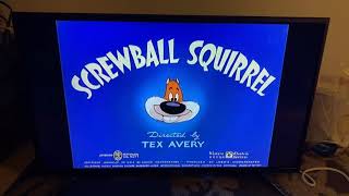 Screwball Squirrel 1944 4K Scanned Intro