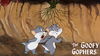 The Goofy Gophers 1947 Looney Tunes Mac and Tosh Cartoon Short Film  Review