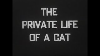 The Private Life of a Cat 1946