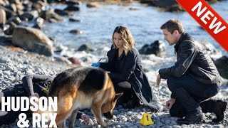 Hudson  Rex NEW Season 2024   Amazing Episode 2024  American Series 2024