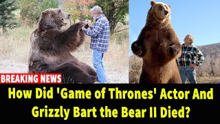 Game of Thrones actor and grizzly Bart the Bear II dead at 21