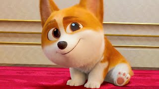 THE QUEENS CORGI Trailer 2019