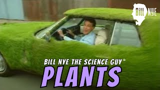 Bill Nye The Science Guy on Plants