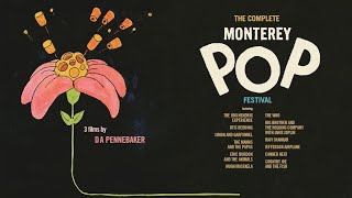 MONTEREY POP 1968  Letterboxd Criterion Challenge