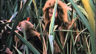 Willow Official Trailer 1  Val Kilmer Movie 1988 HD