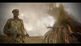 The Ivory Game Netflix 2016  Trailer