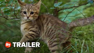 A Cats Life Trailer 1 2024