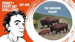 The Vanishing Prairie 1954  day 496  Disney Every Day Challenge