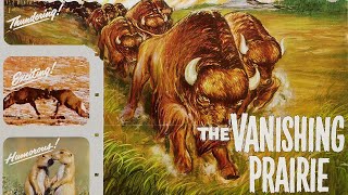 The Vanishing Prairie 1954 Disney Nature Documentary Film  Review