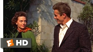 Rebel Without a Cause 1955  I Go With the Kids Scene 410  Movieclips