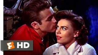 Rebel Without a Cause 1955  Live It Up Scene 910  Movieclips