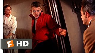 Rebel Without a Cause 1955  Stand Up For Me Scene 810  Movieclips