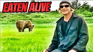 Grizzly Man Eaten By A Bear  Timothy Treadwell