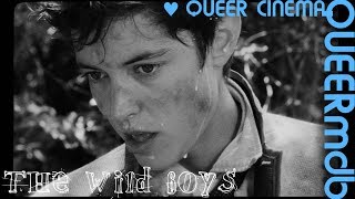 The wild Boys  Transgenderfilm 2017  Full HD Trailer