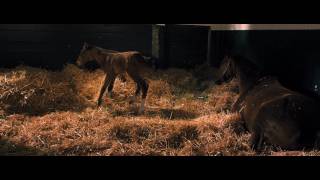 Secretariat  Trailer US 2010