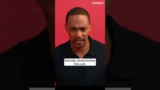 Anthony Mackie Reveals Ryan Gosling Actually Picked Up A Stray Cat in Half Nelson