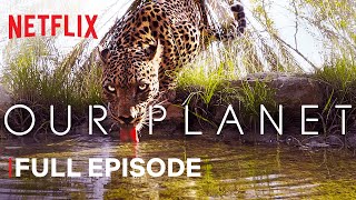 Our Planet  From Deserts to Grasslands  FULL EPISODE  Netflix