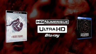 The Crimson Rivers 2000  4K Ultra HD vs Bluray Comparison