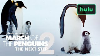 March of the Penguins 2 Trailer Official  Hulu