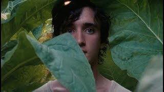 HAPPY AS LAZZARO  Official HD Trailer 2019  A film by Alice Rohrwacher