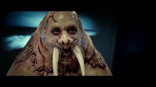 Walrus Learns To Swim Scene  Tusk 2014 HD