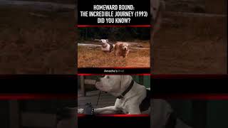 Did you know THIS about HOMEWARD BOUND THE INCREDIBLE JOURNEY 1993