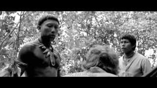 Embrace Of The Serpent  International Trailer