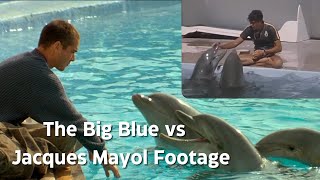 The Big Blue Movie vs Jacques Mayol Footage  Comparison