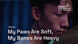 My Paws Are Soft My Bones Are Heavy Trailer  SGIFF 2024