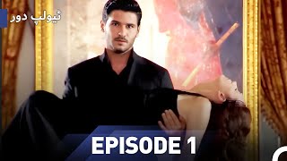 The Tulip Age Episode 1  Urdu Dubbed