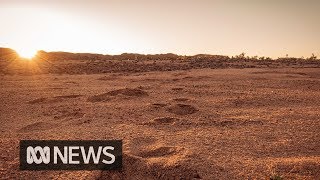 NASA research in Western Australia could hold key to finding life on Mars  ABC News Indepth