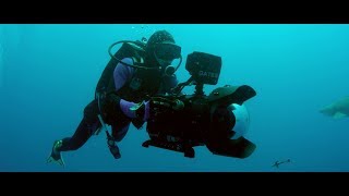 SHARKWATER EXTINCTION  Trailer 2 HD