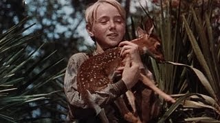 The Yearling  Original Theatrical Trailer