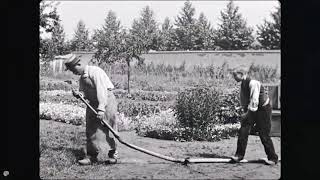 The Waterer Watered 1895 Early Short Film