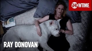 Dog The Dog The Dogo Argentino  Ray Donovan  SHOWTIME